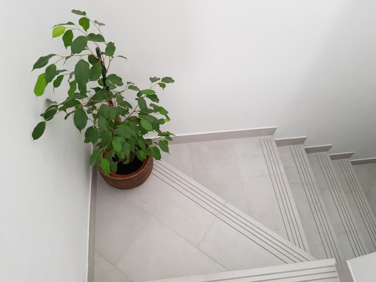 Loft Abantos - 120M2 Mas Terraza Y Jardin Independiente San Lorenzo de El Escorial Luaran gambar